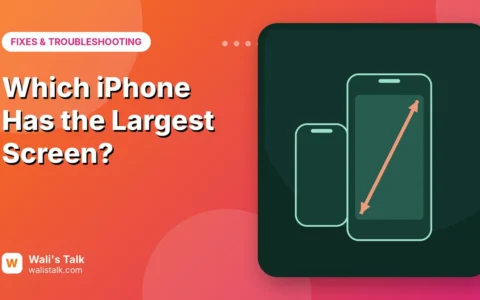 Which iPhone Has the Largest Screen? (Every Model Compared)