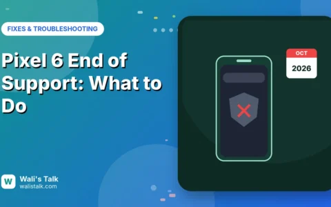 Pixel 6 End of Support (October 2026): What It Means and What to Do