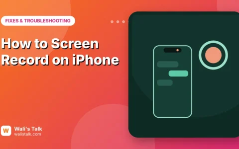 How to Screen Record on iPhone (With Sound and Your Voice)